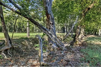 175 Tom Jones Road, Kingston, GA 30145 - Photo 58