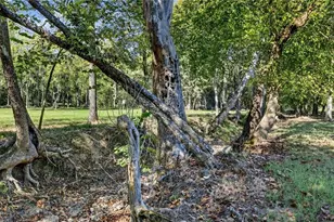 175 Tom Jones Rd, Kingston, GA 30145 - Photo 58