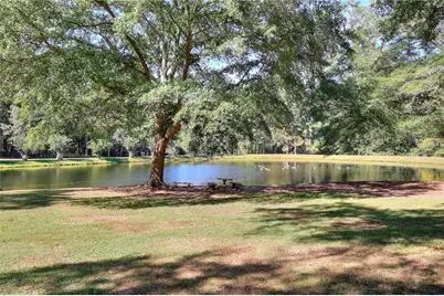 3520 Tom Brewer Road, Loganville, GA 30052 - Photo 4