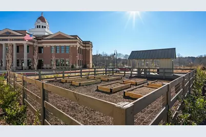 46 Spirea Way Lot 64, Auburn, GA 30011 - Photo 54