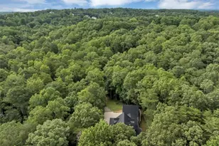 231 Beaver Ridge Rd, Jasper, GA 30143 - Photo 76