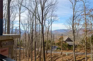 4474 Twiggs Rd, Young Harris, GA 30582 - Photo 50