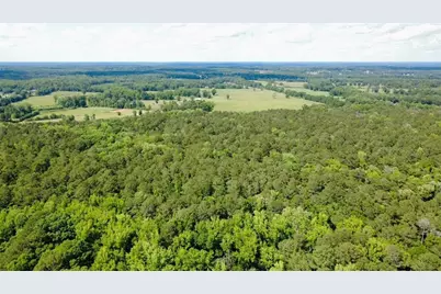 285 Taylor Road, Jackson, GA 30233 - Photo 66