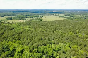 285 Taylor Rd, Jackson, GA 30233 - Photo 66