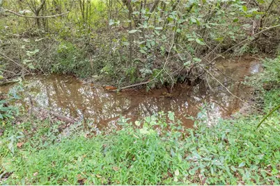 385 Amys Road, Clarkesville, GA 30523 - Photo 42