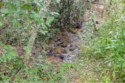 385 Amys Road, Clarkesville, GA 30523 - Photo 44