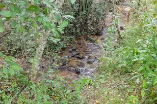 385 Amy's Rd, Clarkesville, GA 30523 - Photo 44