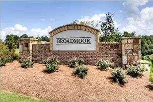 43 Yaupon Trail, Braselton, GA 30517 - Photo 4