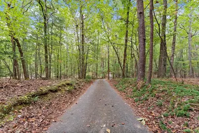 1076 Little Hawk Road, Sautee Nacoochee, GA 30571 - Photo 6