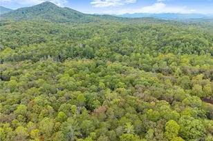 1076 Little Hawk Rd, Sautee Nacoochee, GA 30571 - Photo 68