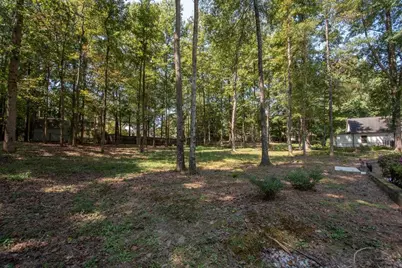 170 Brennan Drive, Tyrone, GA 30290 - Photo 54