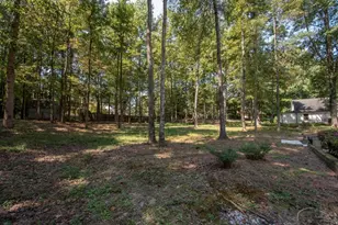 170 Brennan Dr, Tyrone, GA 30290 - Photo 54