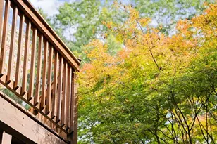 994 Whispering Pne Ln, Cherrylog, GA 30522 - Photo 28