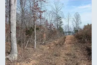 9030 Old Terry Ford Road, Gainesville, GA 30506 - Photo 4