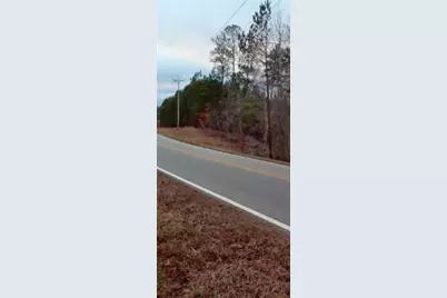 2771 Carey Station Rd Street, Greensboro, GA 30043 - Photo 6