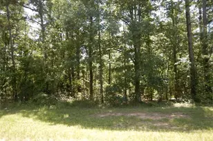2771 Carey Station Rd St, Greensboro, GA 30043 - Photo 1