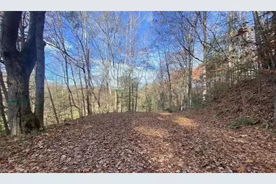 1 Barefoot Hills, Hiawassee, GA 30546 - Photo 6