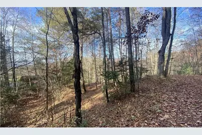 1 Barefoot Hills, Hiawassee, GA 30546 - Photo 4