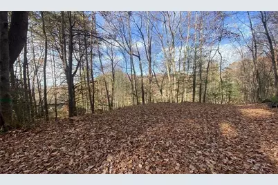 1 Barefoot Hills, Hiawassee, GA 30546 - Photo 2