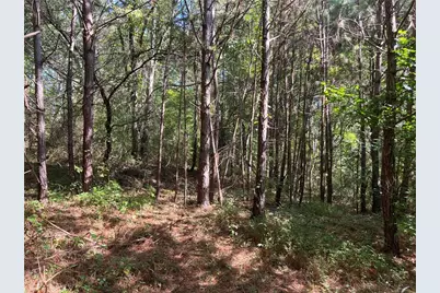 124 S Kelley Street, Tallapoosa, GA 30176 - Photo 2