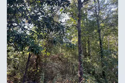 124 S Kelley Street, Tallapoosa, GA 30176 - Photo 6