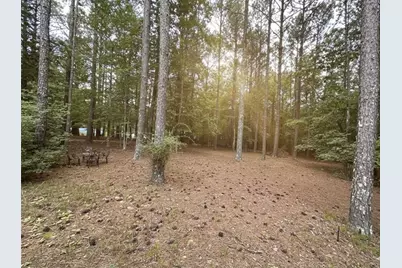 None Maner Road, Rockmart, GA 30153 - Photo 4
