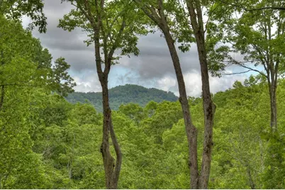 244 Wilderness Way, Ellijay, GA 30536 - Photo 2