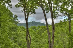 244 Wilderness Way, Ellijay, GA 30536 - Photo 2