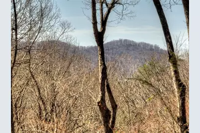 244 Wilderness Way, Ellijay, GA 30536 - Photo 62