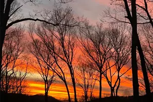 244 Wilderness Way, Ellijay, GA 30536 - Photo 80