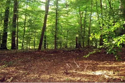 511 Fontaine Road SW, Mableton, GA 30126 - Photo 10