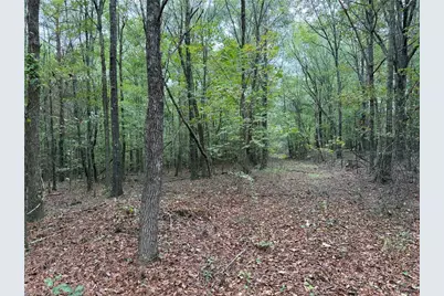 0 Colquitt Road, Cedartown, GA 30125 - Photo 1