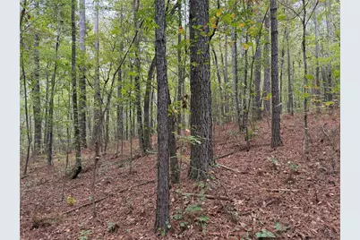 0 Colquitt Road, Cedartown, GA 30125 - Photo 4