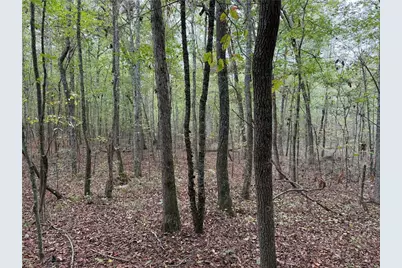 0 Colquitt Road, Cedartown, GA 30125 - Photo 2