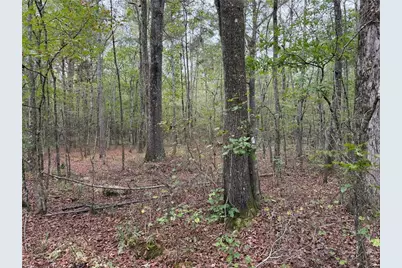 0 Colquitt Road, Cedartown, GA 30125 - Photo 8