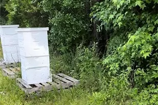 1599 Lower River Rd, Covington, GA 30016 - Photo 20