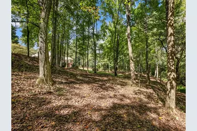 141 Willows Court, Cleveland, GA 30528 - Photo 62