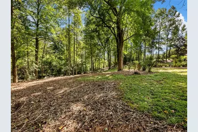 141 Willows Court, Cleveland, GA 30528 - Photo 66