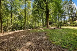 141 Willows Ct, Cleveland, GA 30528 - Photo 66