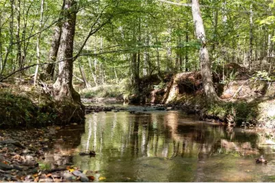 1171 King Mill Road, McDonough, GA 30252 - Photo 40