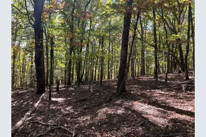 4428 Bee Tree Ridge Drive, Jasper, GA 30143 - Photo 12