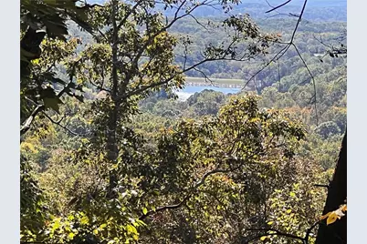 4428 Bee Tree Ridge Drive, Jasper, GA 30143 - Photo 6