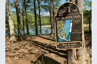 4428 Bee Tree Ridge Drive, Jasper, GA 30143 - Photo 32