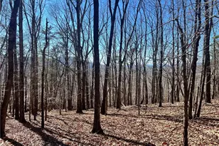 4428 Bee Tree Ridge Dr, Jasper, GA 30143 - Photo 1