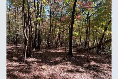 4428 Bee Tree Ridge Drive, Jasper, GA 30143 - Photo 10