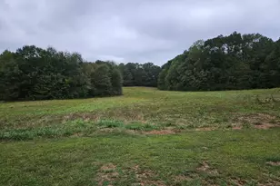 306 Grady Whitton Rd, Bremen, GA 30110 - Photo 26