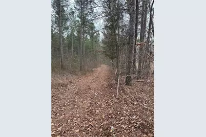 0 S Highway 225 S, Chatsworth, GA 30705 - Photo 36