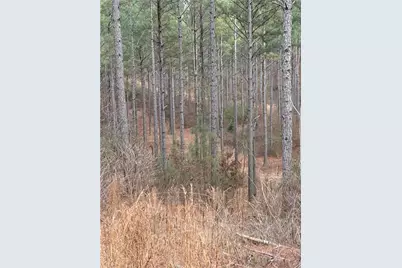 0 S Highway 225 S, Chatsworth, GA 30705 - Photo 24