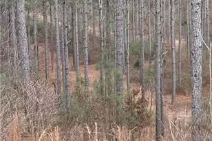 0 S Hwy 225 S, Chatsworth, GA 30705 - Photo 24