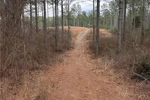 0 S Hwy 225 S, Chatsworth, GA 30705 - Photo 38